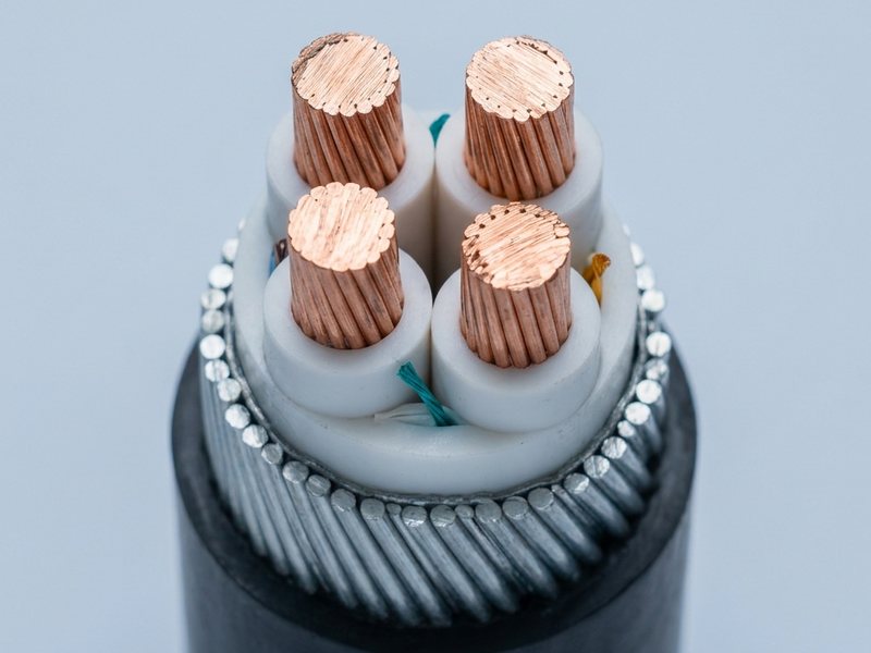 Cutaway of an armoured power cable: stranded copper conductors in white insulation under steel wire armour and a black sheath